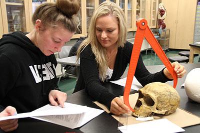 Two female students examing a skull in a lab